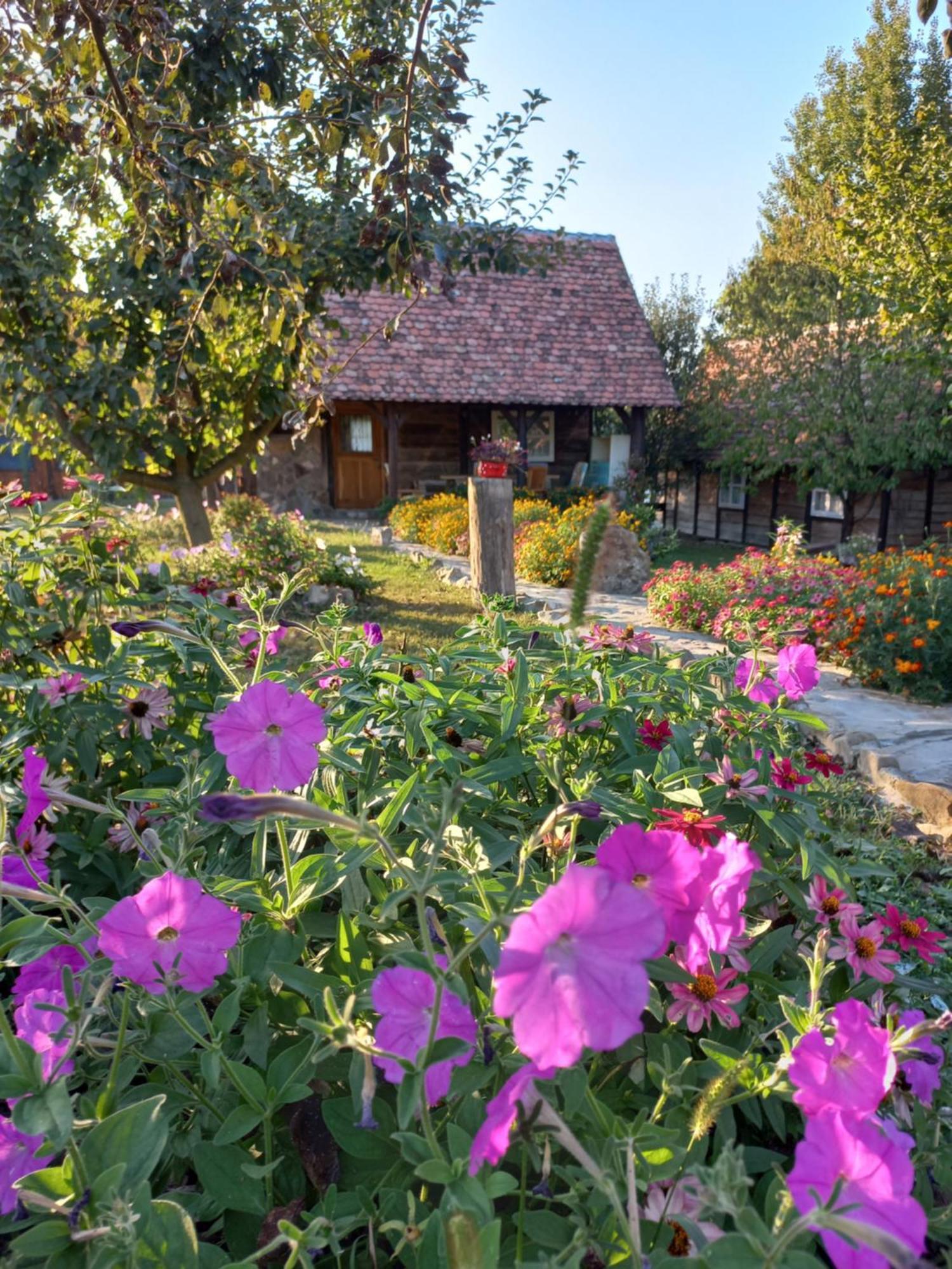 Villa Magaze De Luxe Gradacac Exterior foto